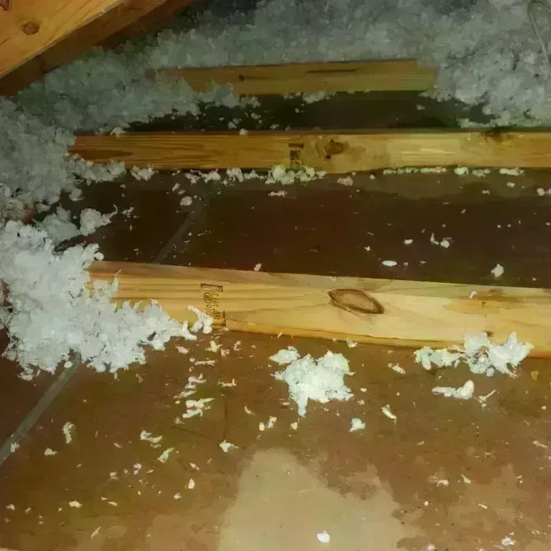 Attic Water Damage in Billings, MT