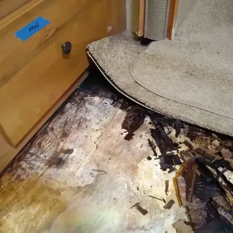 Wood Floor Water Damage in Billings, MT